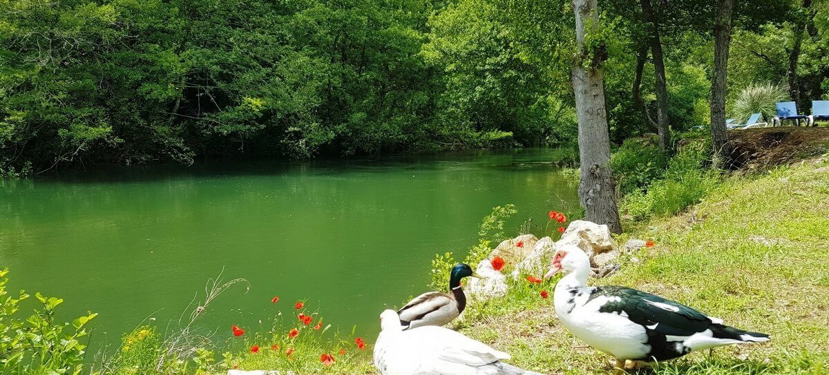 Le Parc des Monges — photo 7